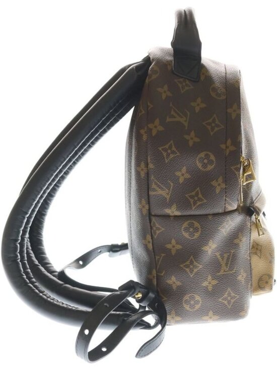 Louis Vuitton Monogram Reverse Palm Spring Backpack PM Brown Black Leather Gold main image 6